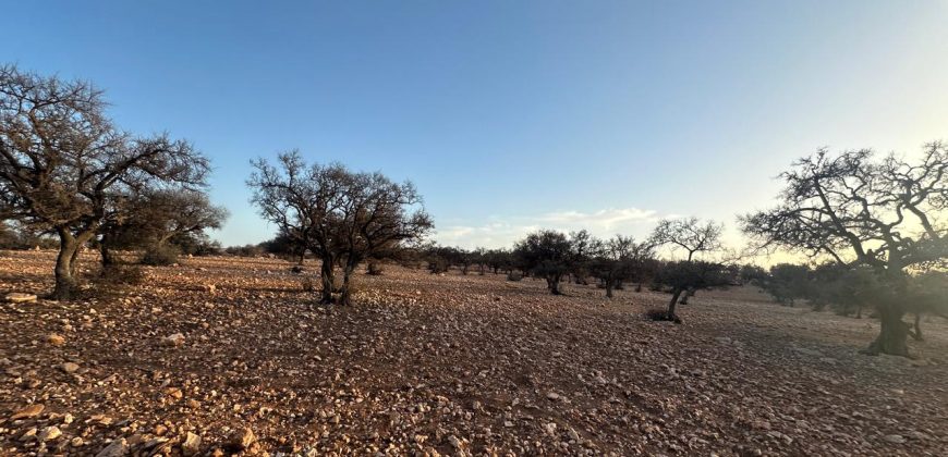 Terrain à Vendre