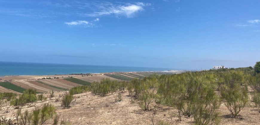 Terrain de 1900 m² à vendre près de Oualidia