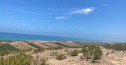 Terrain de 1900 m² à vendre près de Oualidia