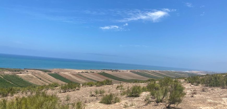 Terrain de 1900 m² à vendre près de Oualidia