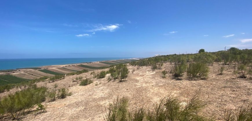 Terrain de 1900 m² à vendre près de Oualidia